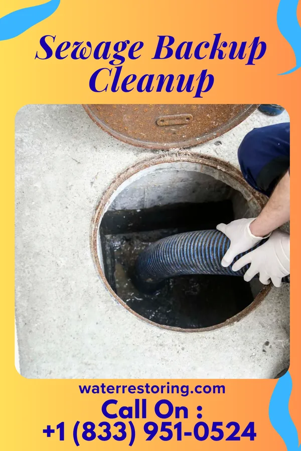 Sewage Backup Cleanup in Evansville, IL