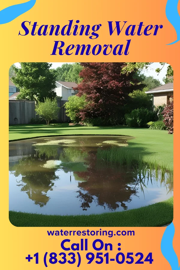 Standing Water Removal in Evansville, IL